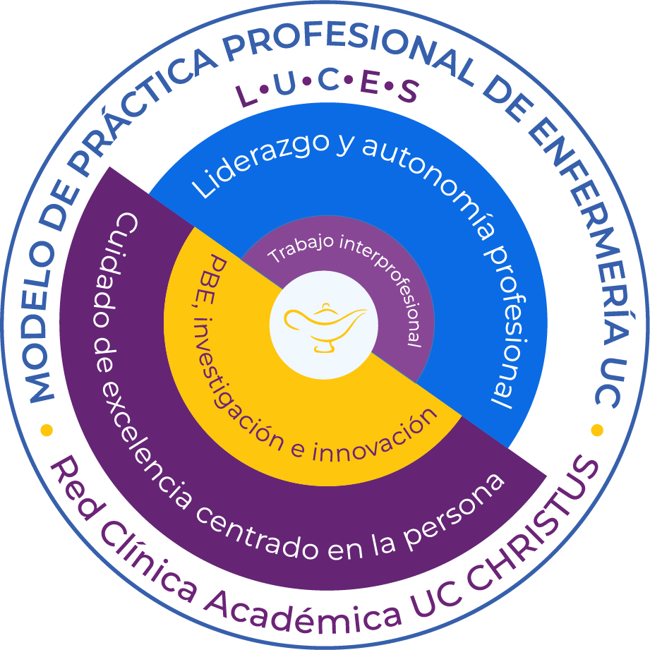 Diagrama_Modelo_Enfermería_2026