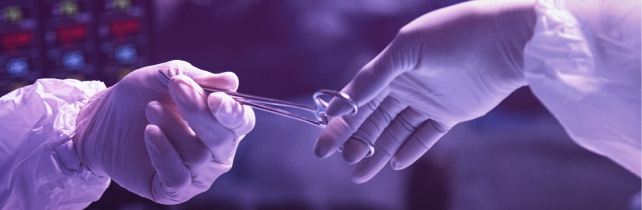 Doctores en proceso de cirugía plástica estética